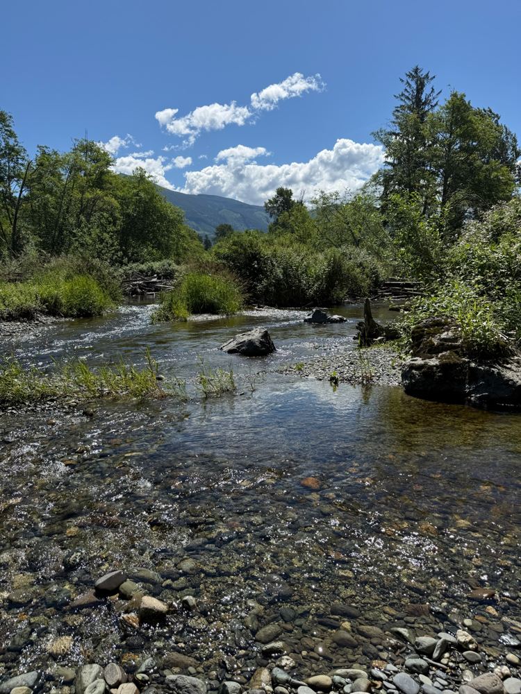 The creek running clear over stones, with trees and foothills beyond